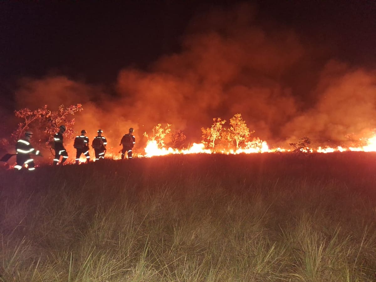 Hay 18 incendios activos en 6 departamentos de Colombia: El Vichada está en alerta
