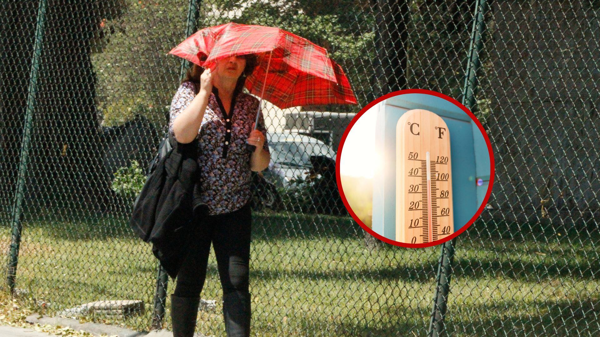 Ola de calor, imagen de referencia. Fotos: Colprensa y Getty Images.