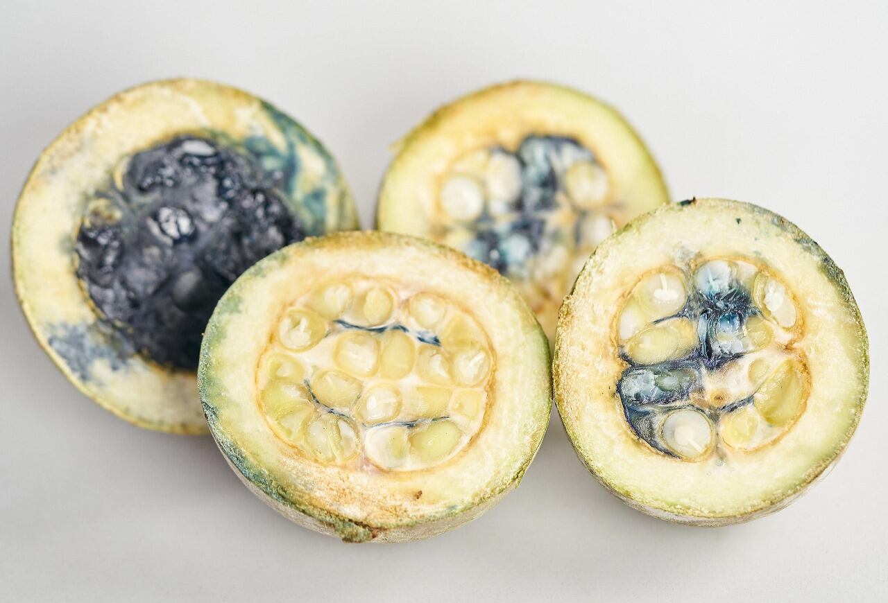 Fruto de la Jagua, fotografía de Ecoflora Cares