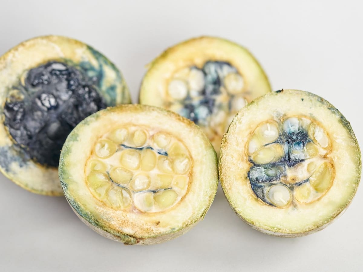 Colombia hace historia a nivel mundial en la industria de colorantes para alimentos