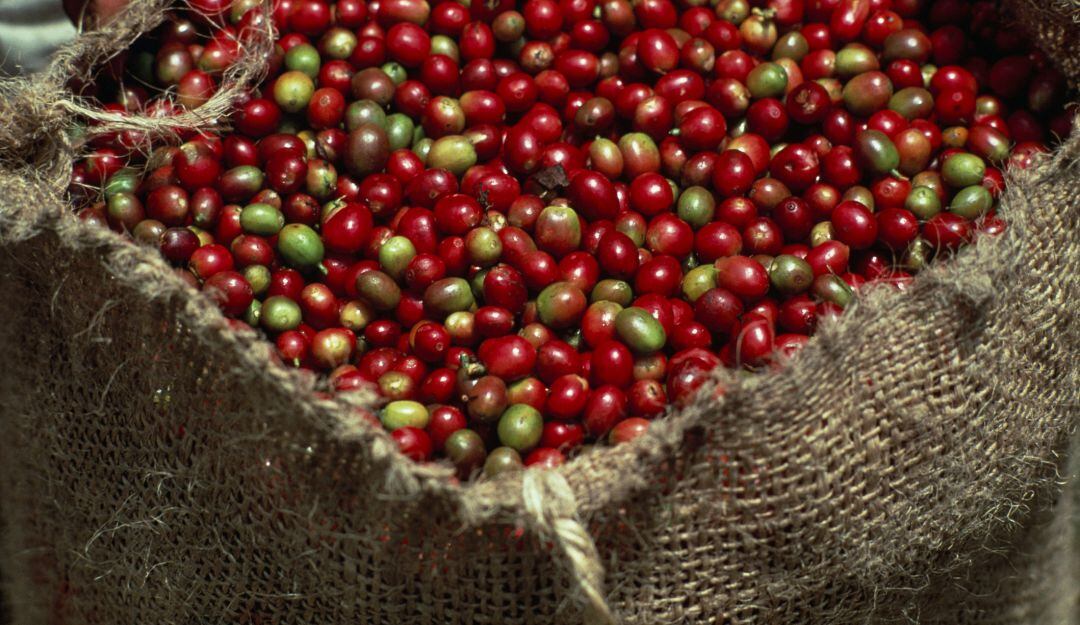 Café de Colombia - Imagen de referencia