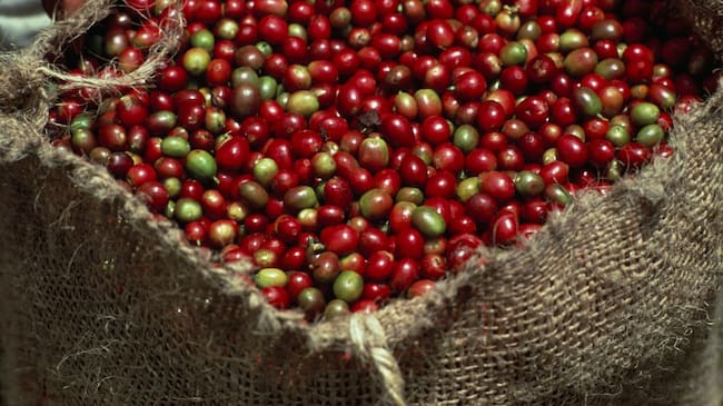 Café de Colombia - Imagen de referencia