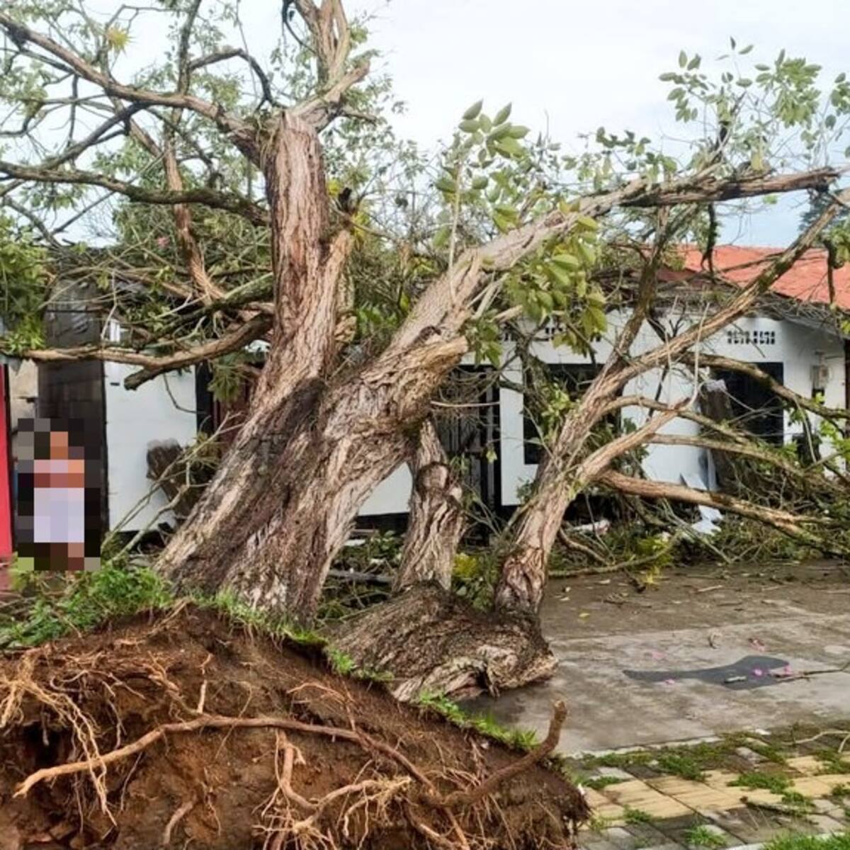 Vendaval destruyó tres casas y destechó 20 más en puerto Nare, Antioquia