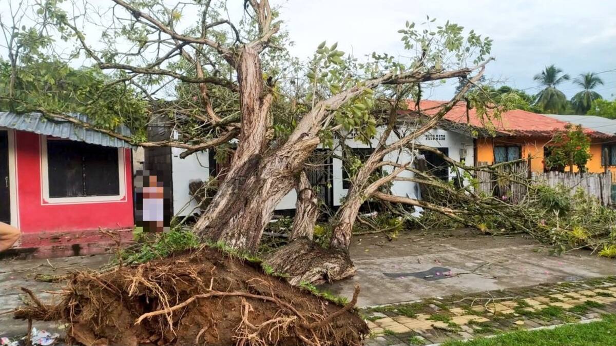 Vendaval destruyó tres casas y destechó 20 más en puerto Nare, Antioquia