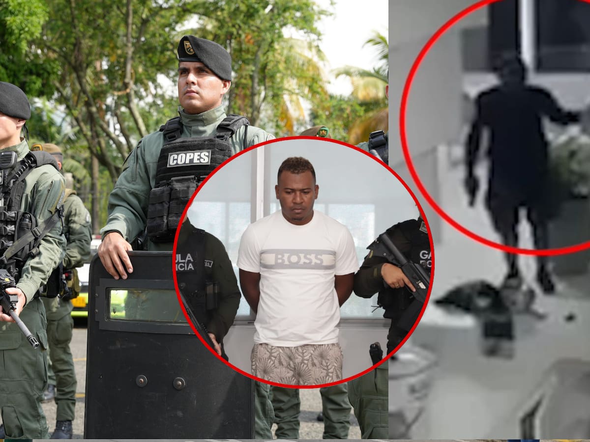 Cayó cabecilla de disidencias Farc por secuestro de Lyan Hortúa y atentados en Cali y Jamundí