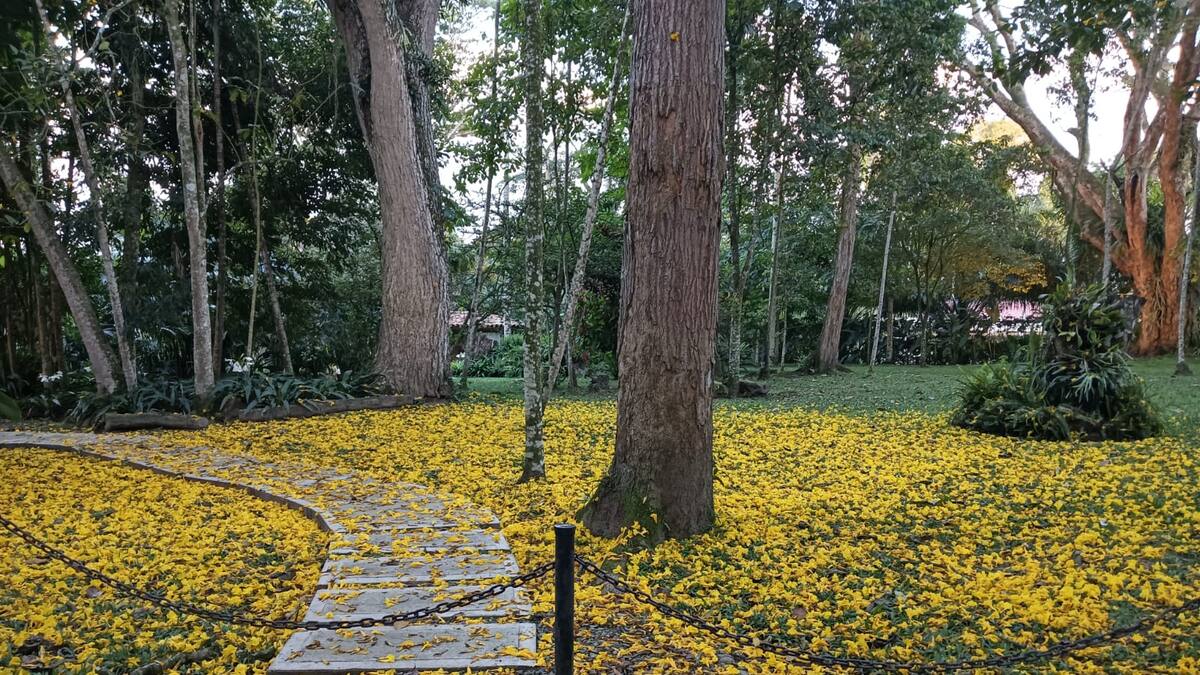 Martes 17 de marzo, las noticias más importantes de Armenia y Quindío