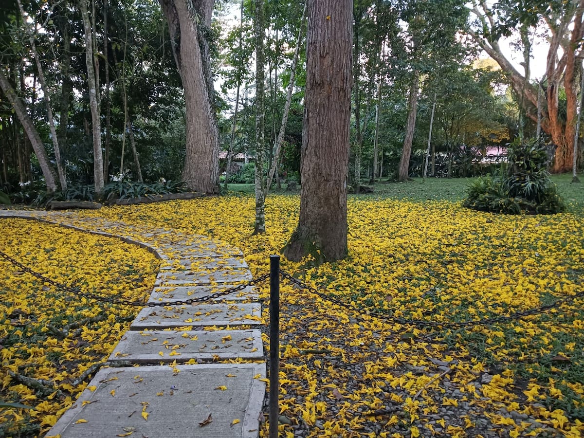 Martes 17 de marzo, las noticias más importantes de Armenia y Quindío