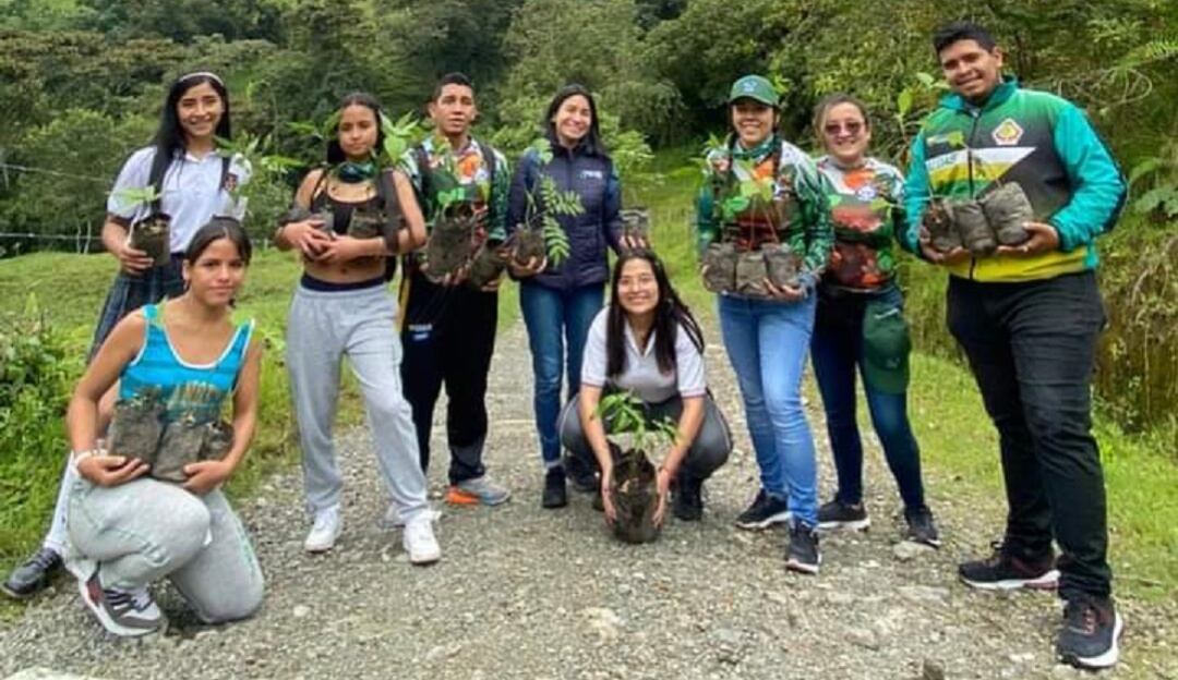 Desarrollo de la campaña "Manizales Carbono Neutro",