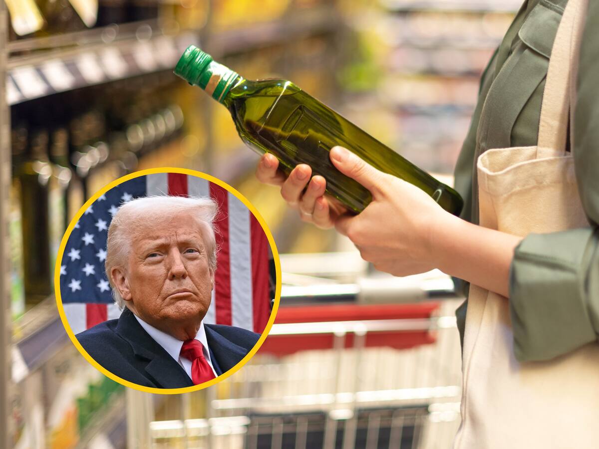 Aceite de oliva, principal afectado en España por aranceles de Trump: “perjudica toda una industria”