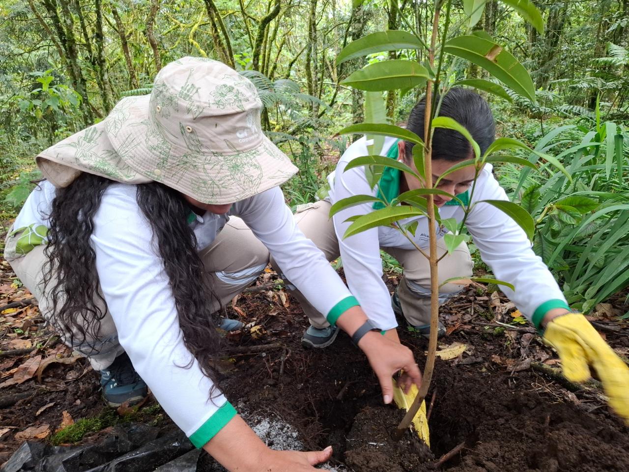 Foto: Alcaldía de Medellín