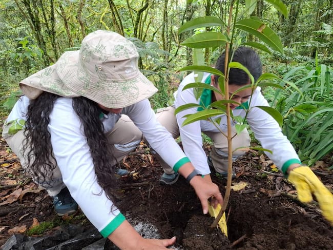 Foto: Alcaldía de Medellín
