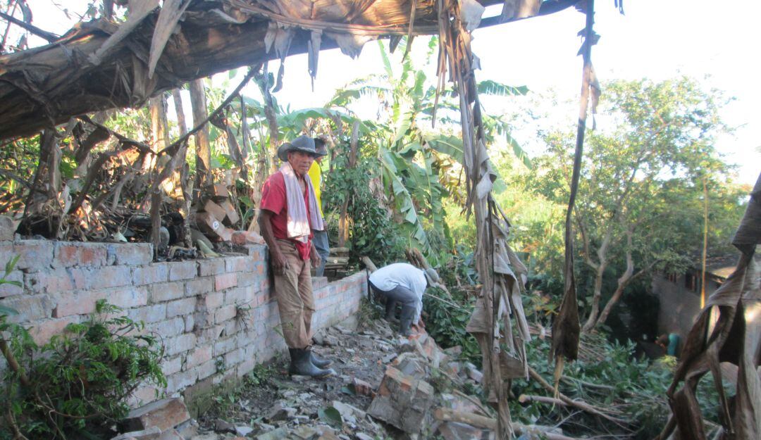 Imagen de referencia