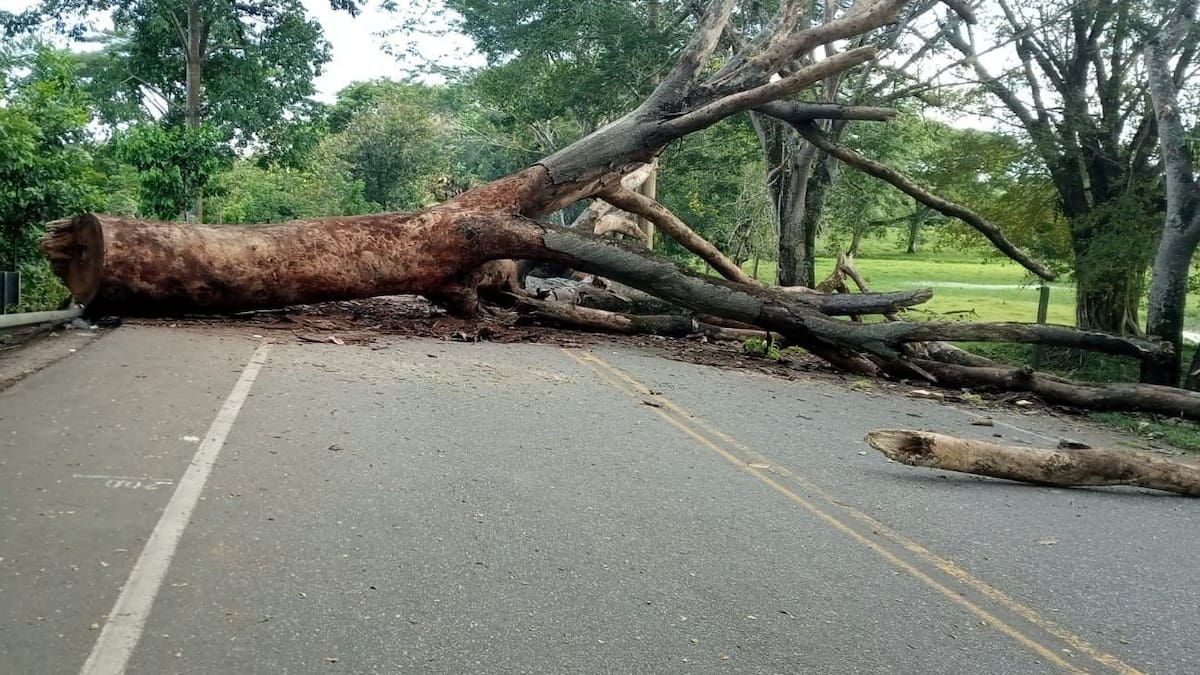 Volvieron los bloqueos intermitentes en vía a la Costa Caribe en Tarazá, Antioquia