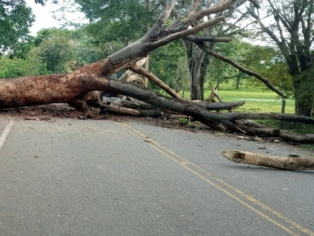 Volvieron los bloqueos intermitentes en vía a la Costa Caribe en Tarazá, Antioquia