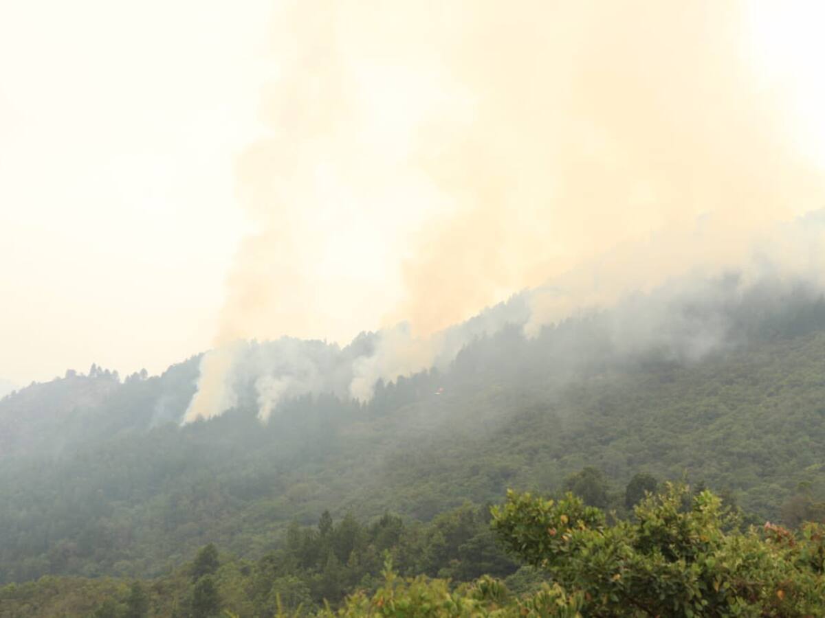 Cali ofrece recompensa para dar con los responsables de incendios forestales