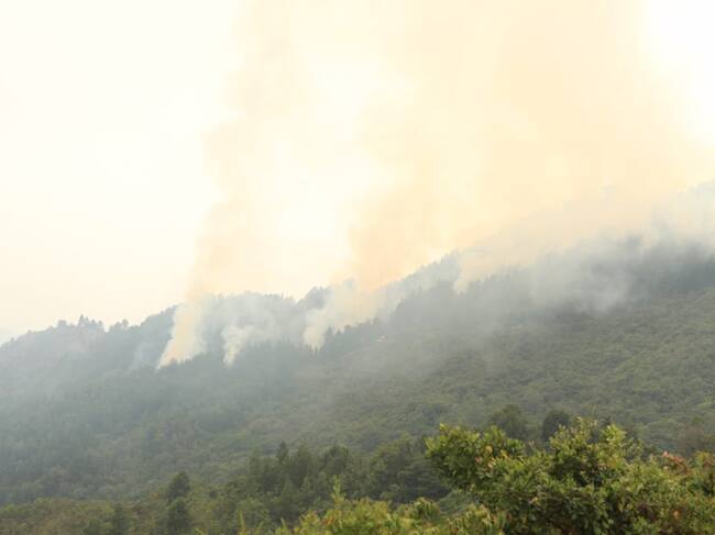 Incendio en cerro de Cristo Rey / Foto: Alcaldía de Cali