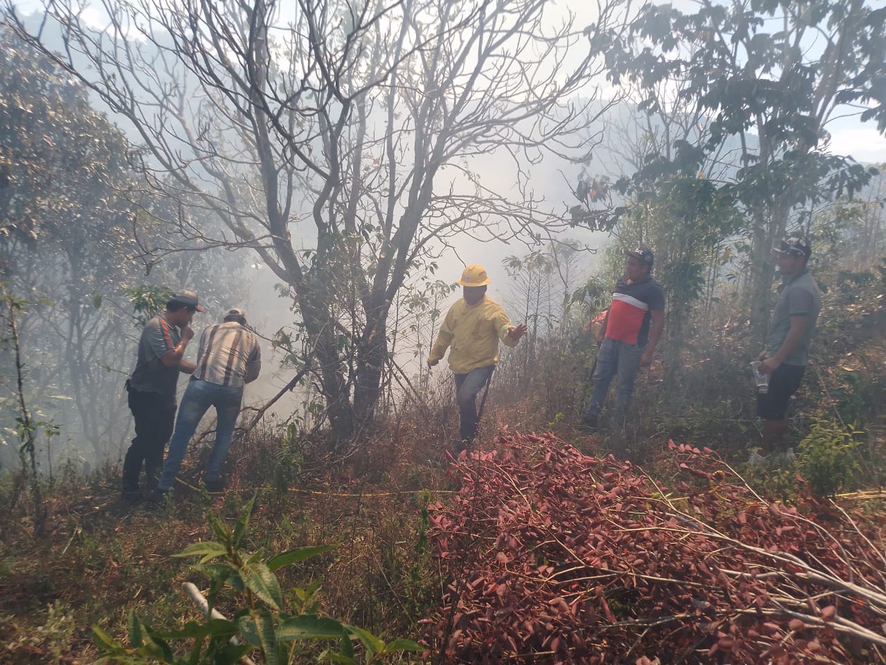 El gobernador destacó el excelente trabajo articulado entre alcaldes, bomberos voluntarios, la comunidad y la gobernación del Huila para la erradicación de los incendios e invitó a continuar el monitoreo constante.