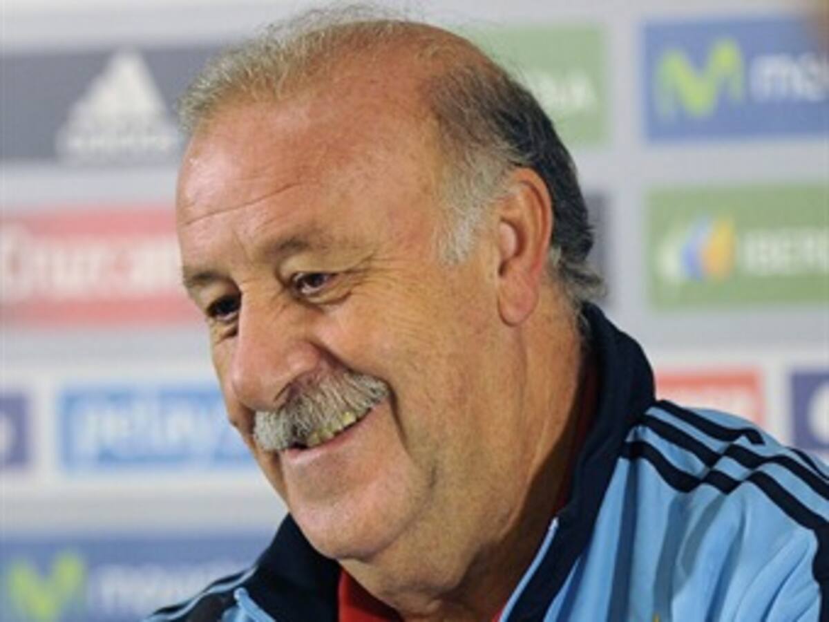 Del Bosque: "Hablaremos con Diego Costa ya que Brasil lo quiere"