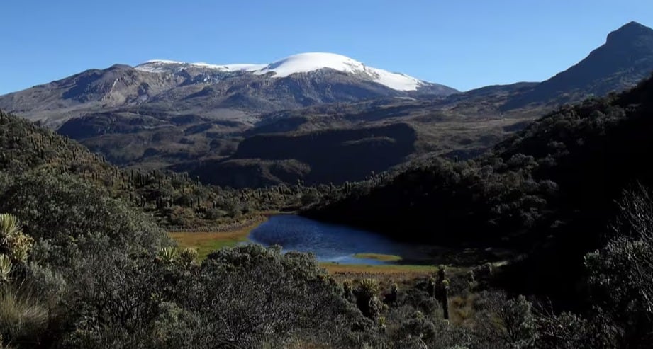 Parque Nacional Natural Los Nevados. Foto suministrada.