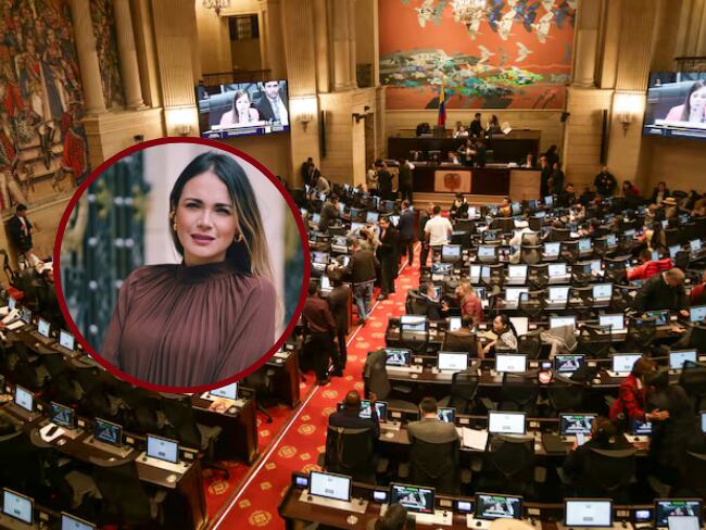 Bogotá.. El Congreso de la República de Colombia (Colprensa - Catalina Olaya) // Carolina Arbeláez, Representante