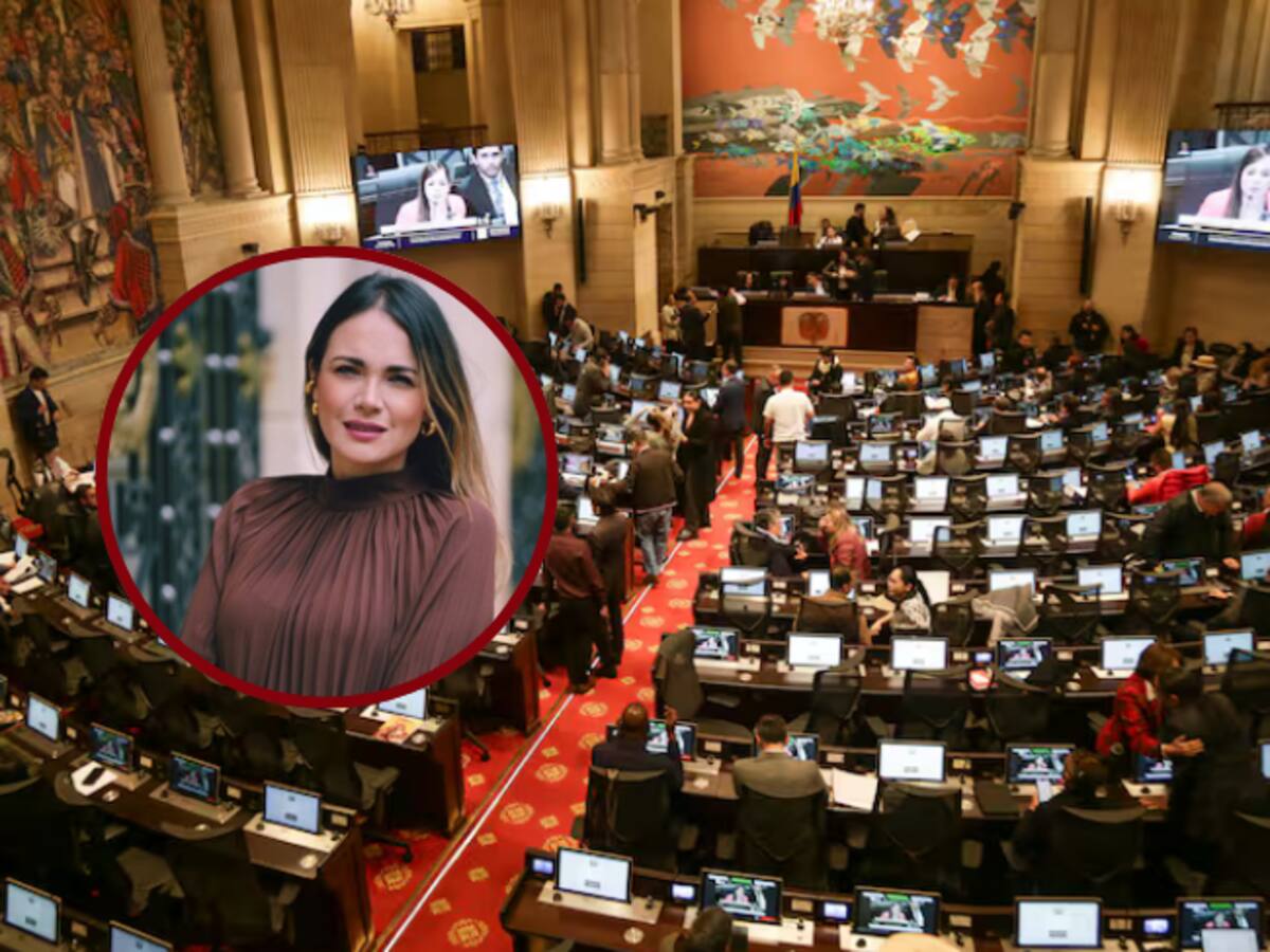 Si no puede pagar una prepagada, tendrá que depender del Estado: Arbeláez sobre la reforma de salud