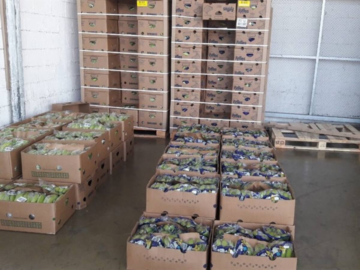 Policía Antinarcóticos halló 209 kilos de cocaína ocultos entre bananos