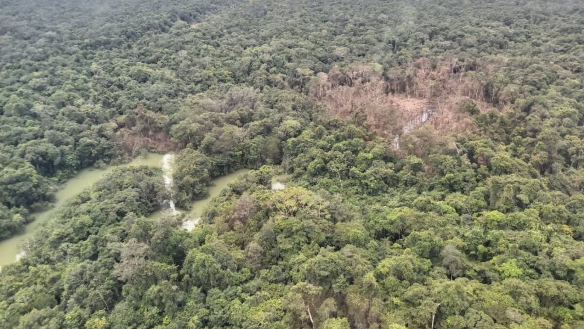 Sectores políticos se pronuncian sobre suspensión de bombardeos