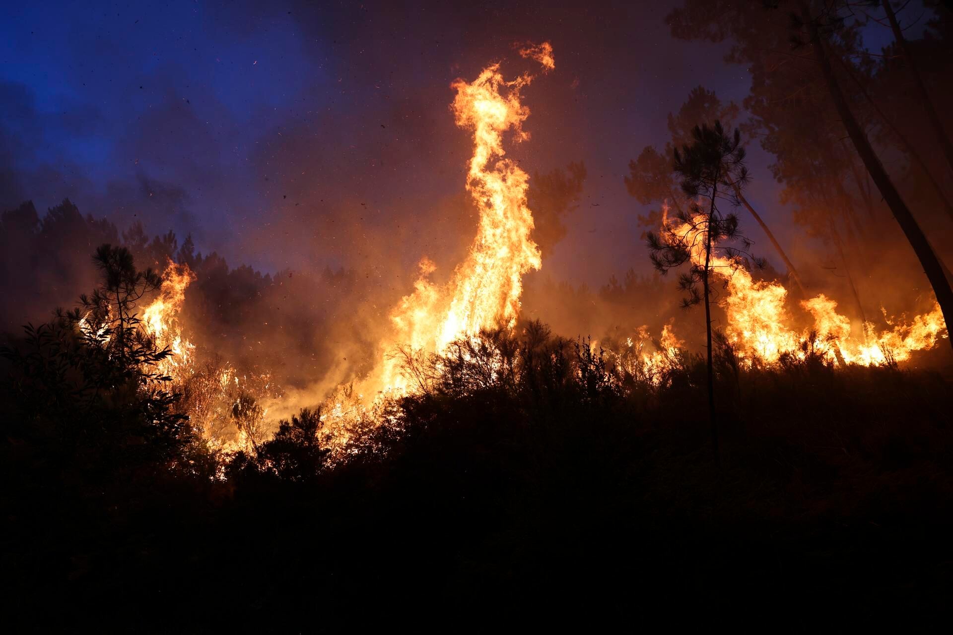 Incendios regionales podrían afectar la calidad del aire en Bogotá: ¿cuál es el sector más afectado?