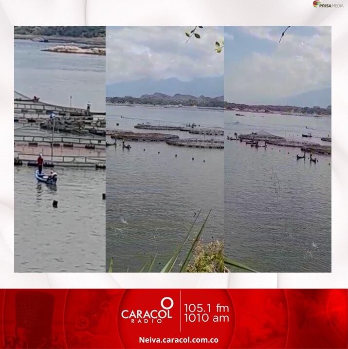 Según el gremio los hurtos en este sector son constantes.