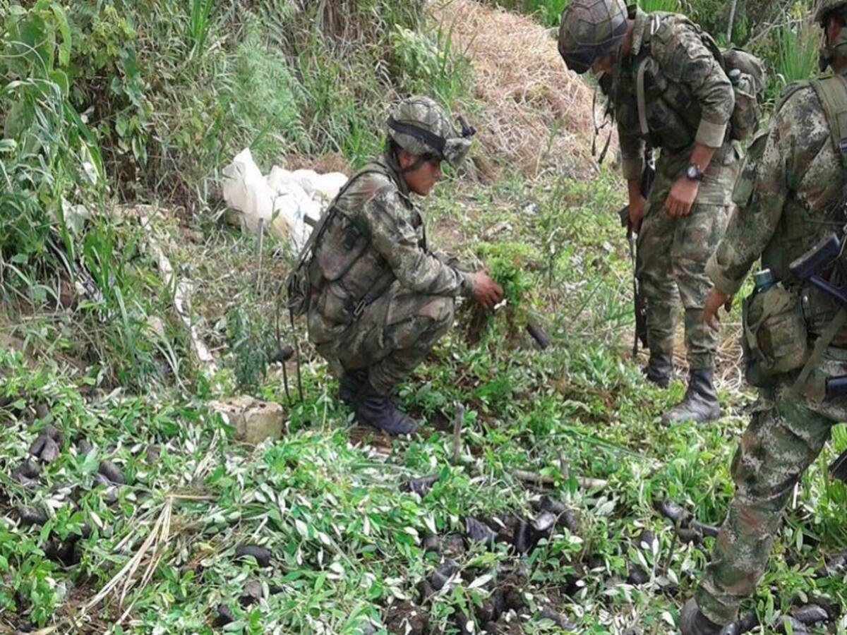Destruyen en Tierralta gigantesco semillero de coca del Clan del Golfo