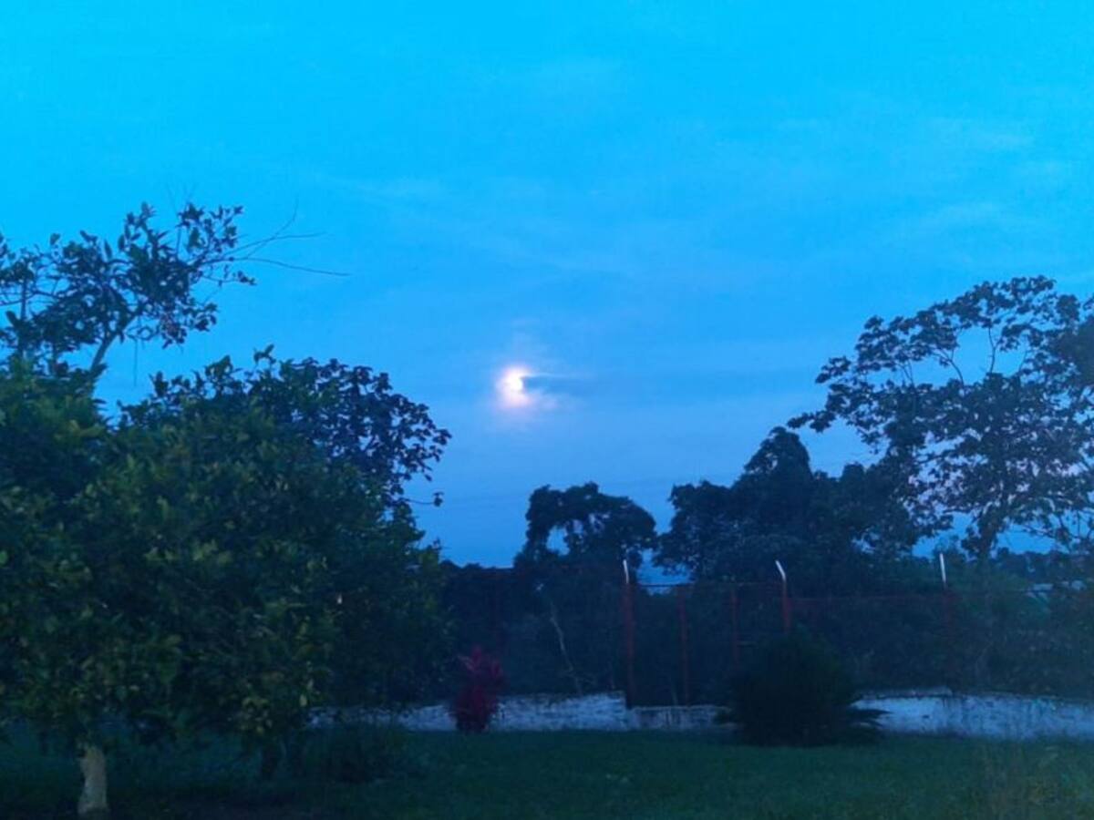 Las noticias más importantes de Armenia y el Quindío, miércoles 8 de abril