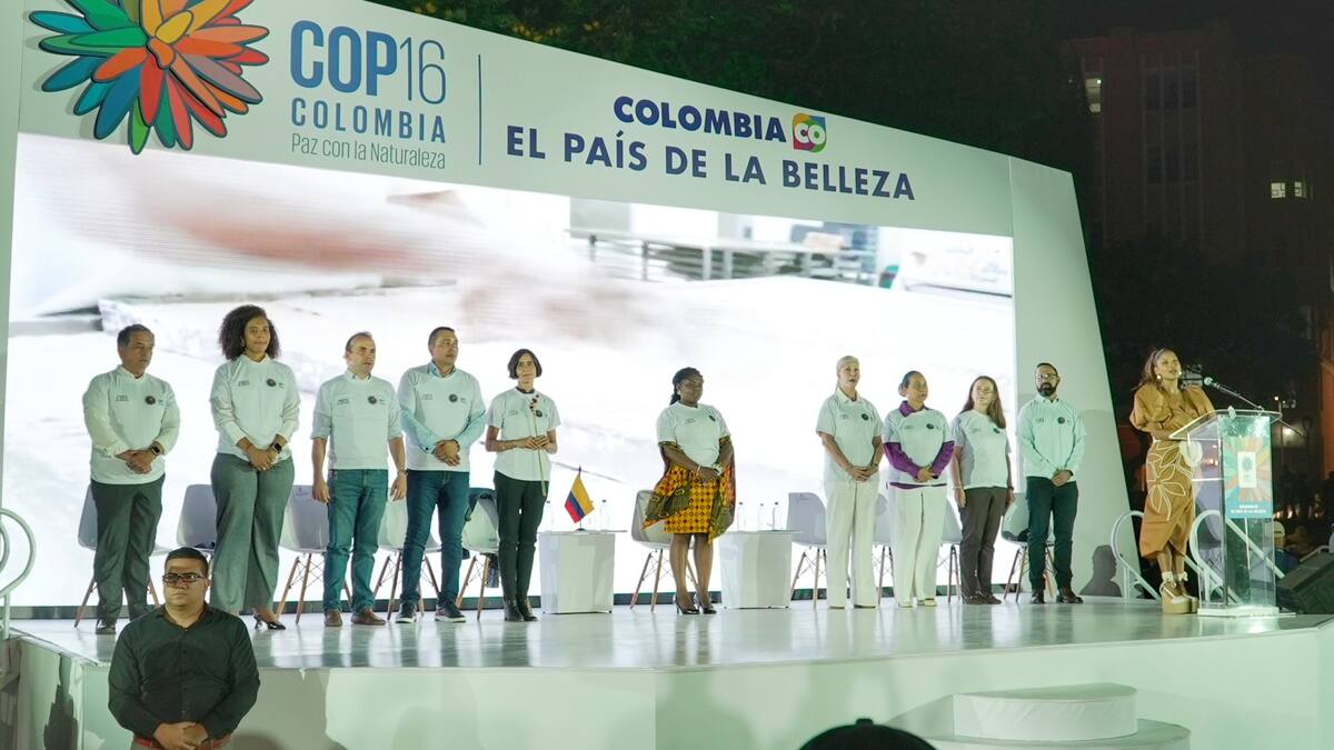 La flor de Inírida es la imagen oficial de la COP16 que se hará en Cali