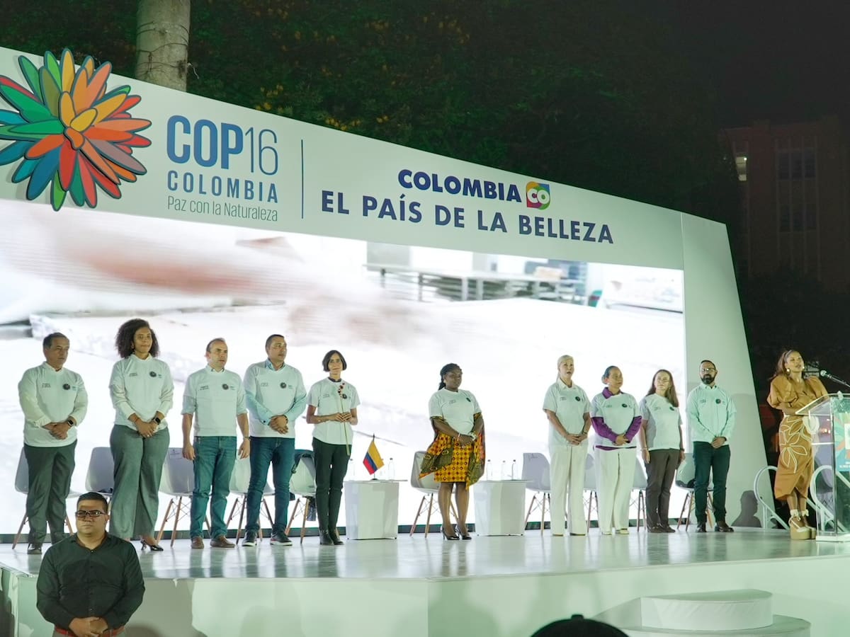 Las expectativas que hay de la COP16, en Colombia, según la ONU