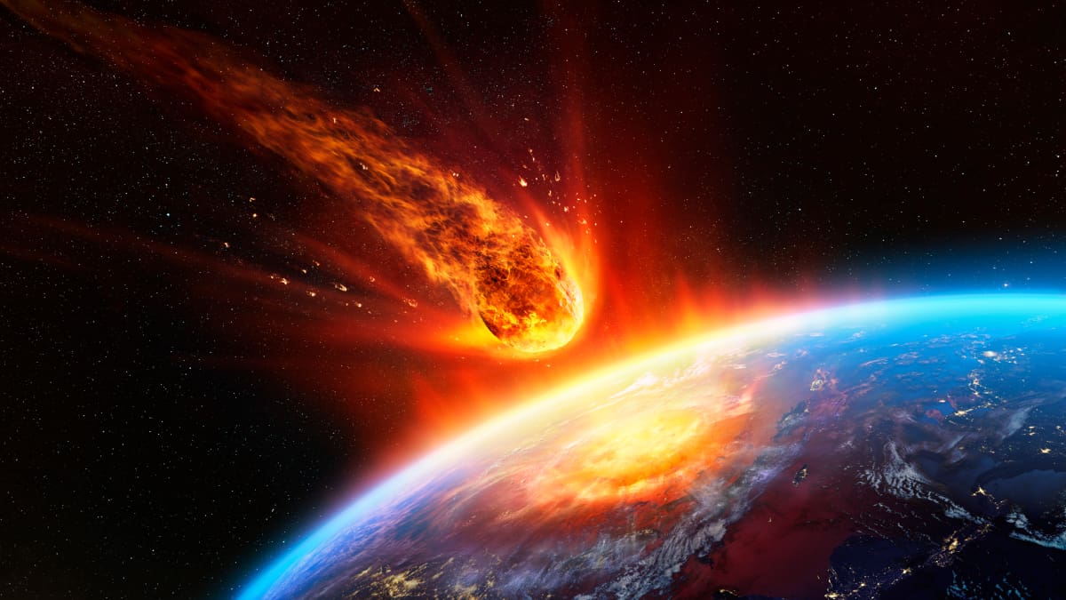 ¿Se aproxima el fin del mundo? Ya estaríamos viviendo la sexta extinción masiva de la Tierra