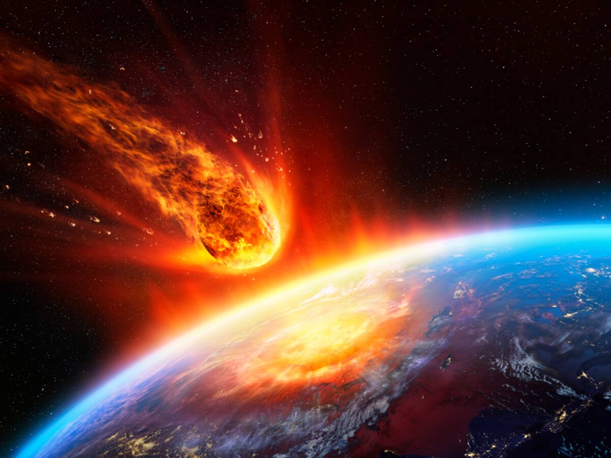 ¿Se aproxima el fin del mundo? Ya estaríamos viviendo la sexta extinción masiva de la Tierra