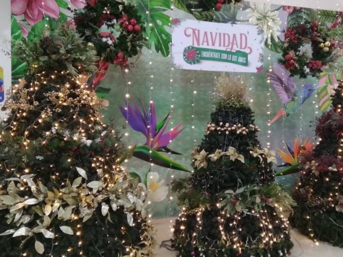 Jueves 16 de diciembre, las principales noticias de Armenia y Quindío