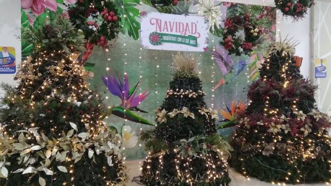 Navidad en el Centro Comercial Calima de Armenia