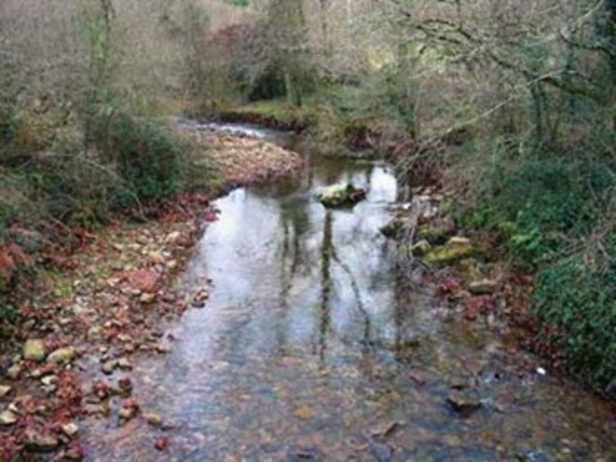 Hay escasez de agua en Montenegro, Quindio, por cuenta de las altas temperaturas