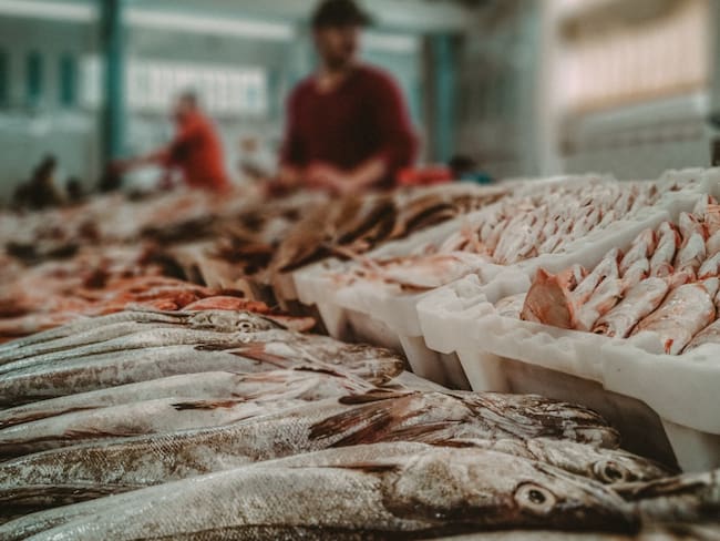 Disminuye venta de pescado en el Huila