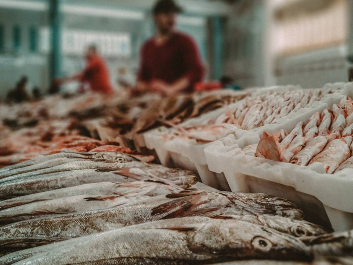 Disminuye venta de pescado en el Huila