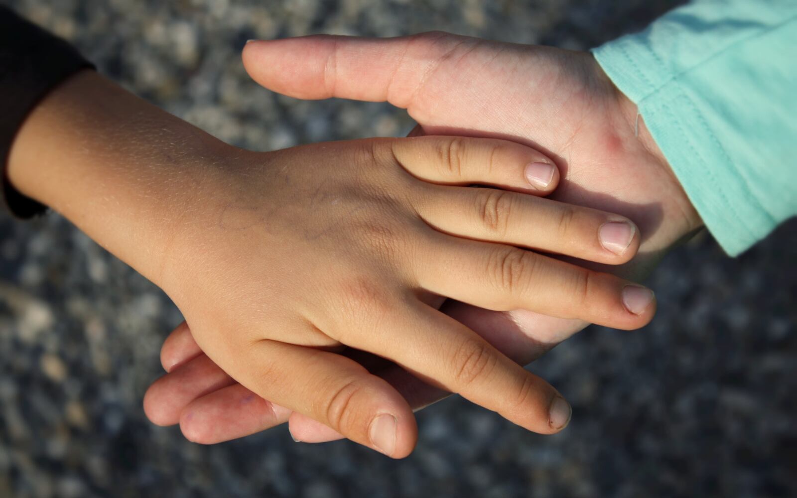 Fotografía suministrada