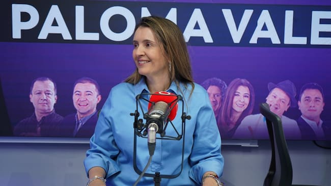"A mí me gusta un vicepresidente como Vargas Lleras: Paloma Valencia"