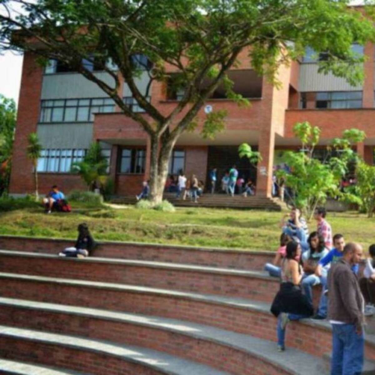 Gratuidad y descuentos para el segundo semestre en universidad de Pereira