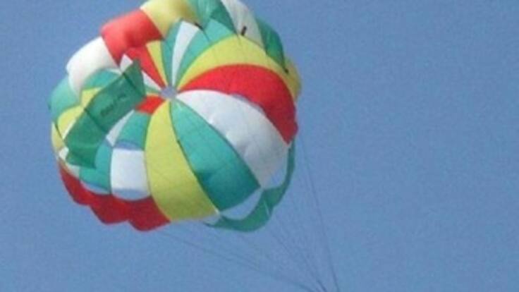 Brigitte Bardot pide castigar a los que hicieron volar un burro en paracaídas