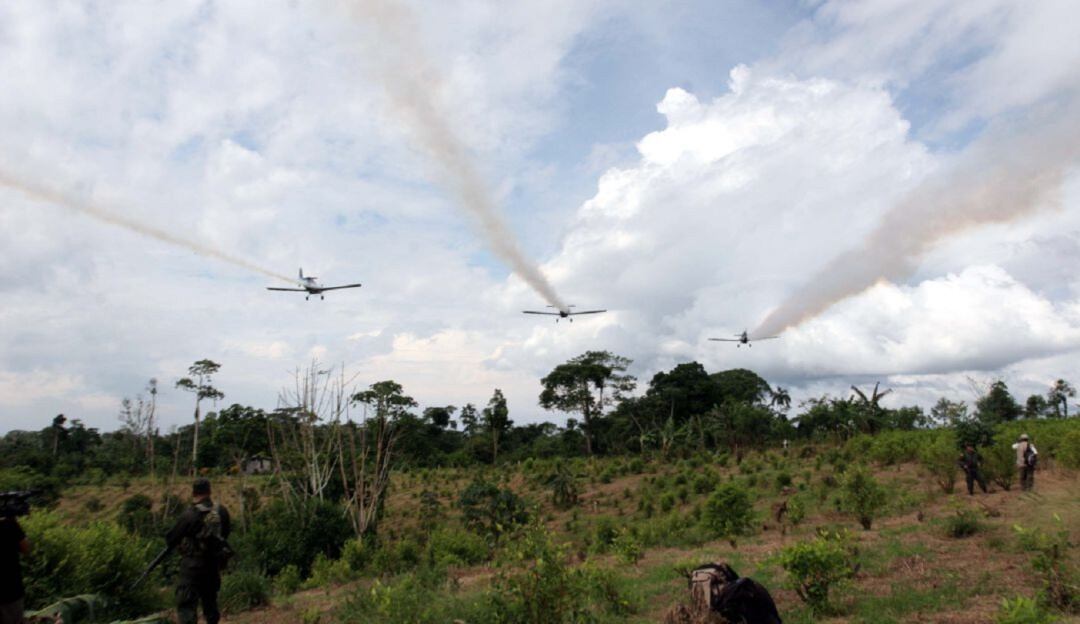 Aspersión con glifosato