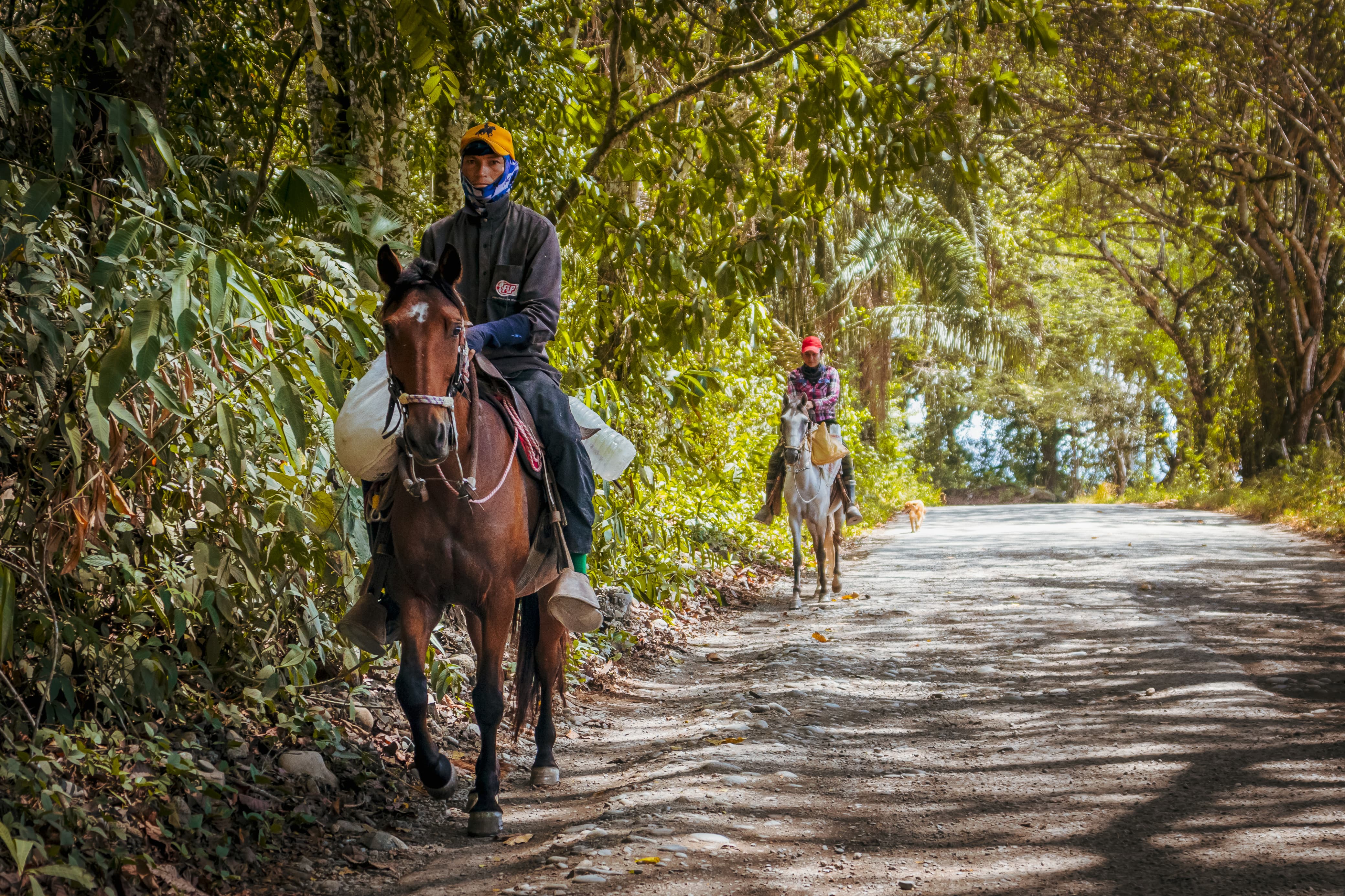Coyaima-Ataco-Las Señoritas en el sur del Tolima/cortesía Gobernación del Tolima
