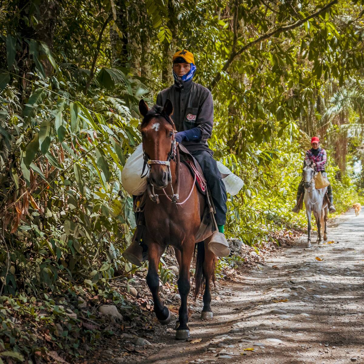 En pocos días iniciarán obras en la vía Coyaima-Ataco-Las Señoritas en sur del Tolima