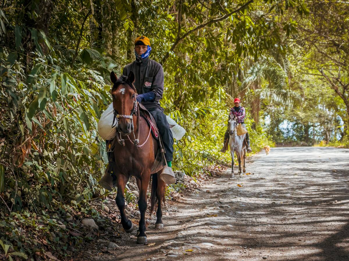 En pocos días iniciarán obras en la vía Coyaima-Ataco-Las Señoritas en sur del Tolima