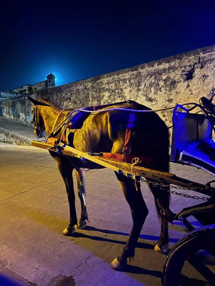 Alcaldía de Cartagena