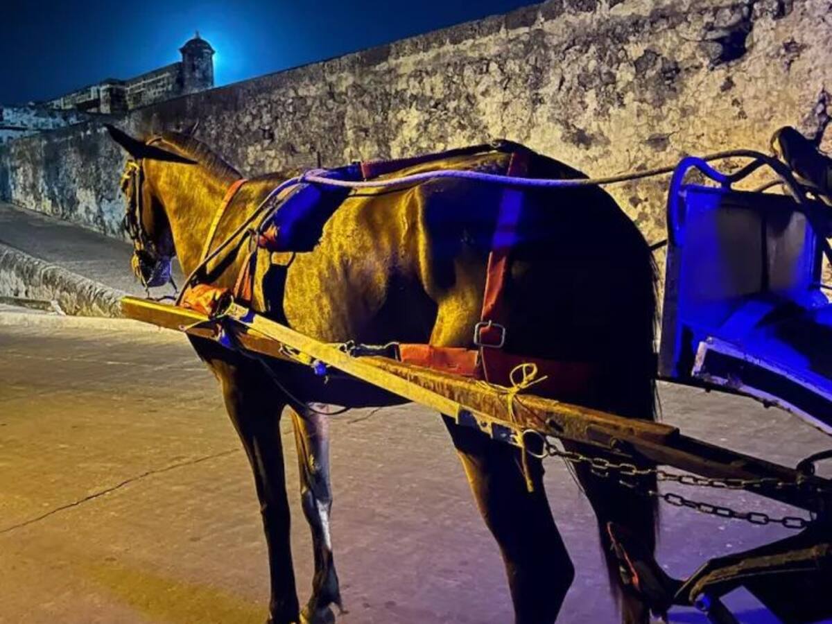 Decreto oficial prohíbe el tránsito de coches con caballos en el Centro Histórico